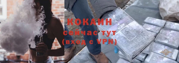дживик Арсеньев