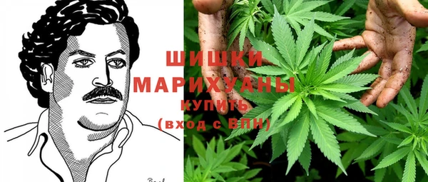 крисы Армянск