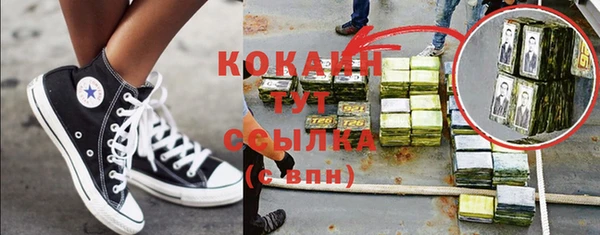дживик Арсеньев