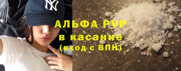 дживик Арсеньев