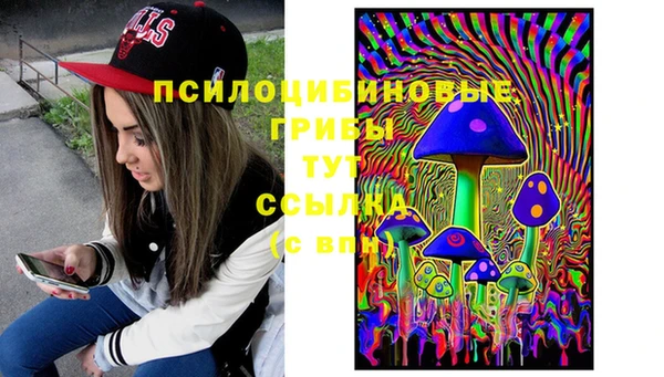 крисы Армянск