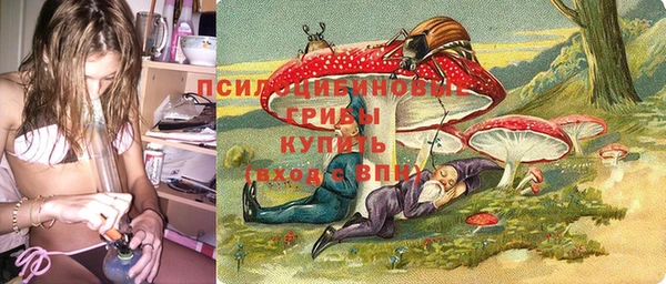 дживик Арсеньев