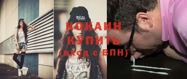 крисы Армянск