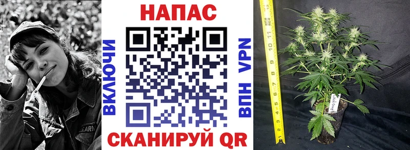 МАРИХУАНА Amnesia  Сим 